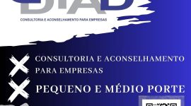 Dia D – Consultoria e Aconselhamento para Empresas – BR – T