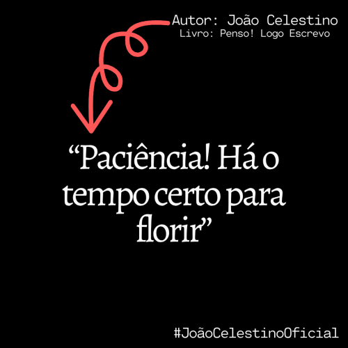 JCS1T - Frases do Livro Penso Logo Escrevo - Tudaq - BR - 113