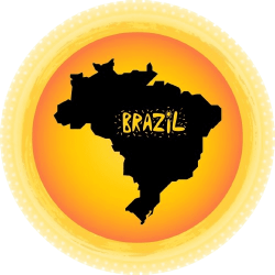 JCS1T - Pictograma - Brasil e Território Nacional - TEMA - BR - Tudaq - 325