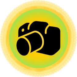 JCS1T - Pictograma - Fotográfia e Técnicas - TEMA - BR - Tudaq - 364