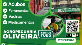 Agropecuária Oliveira – EMPRESA – SÃO SEBASTIÃO – DF – BR