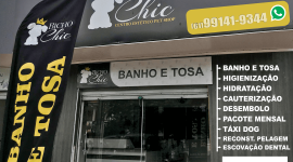 Bicho Chic – Pet Shop – EMPRESA – PLANALTINA – GO – BR