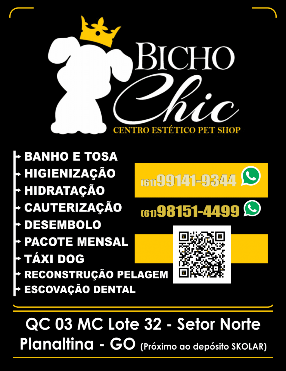 bicho-chic-pet-shop-empresa-planaltina-go-br