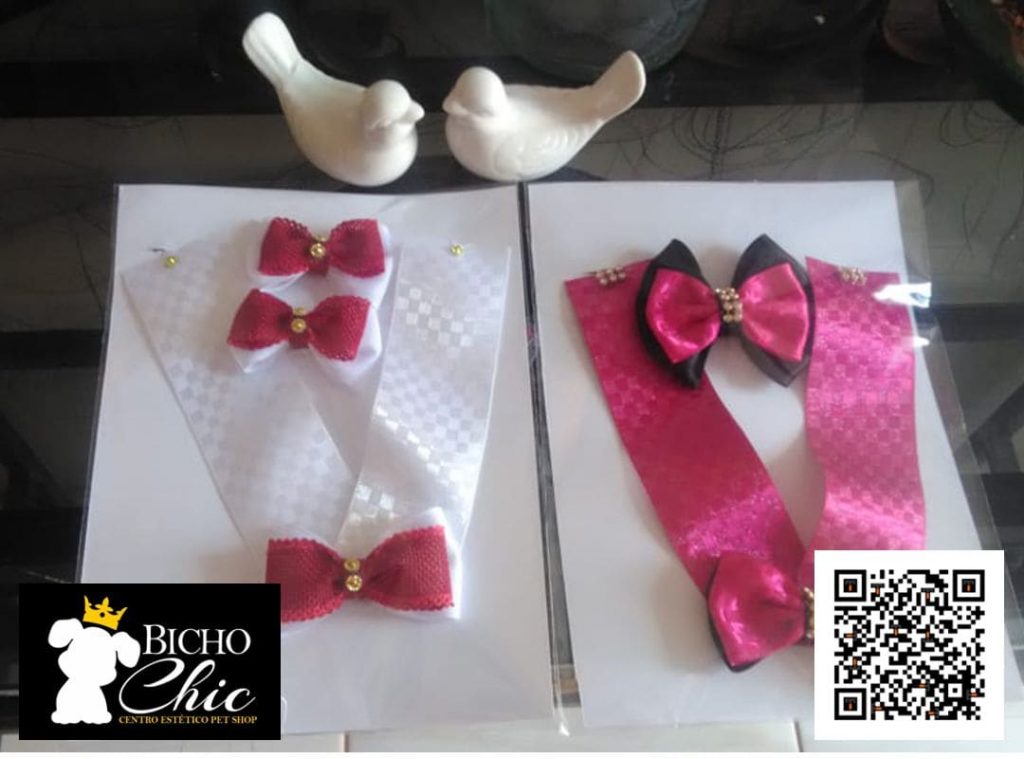 bicho-chic-pet-shop-empresa-planaltina-go-br