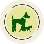 Animais de Estimação