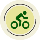 Bicicletas