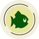 Caça e Pesca
