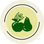 Frutas