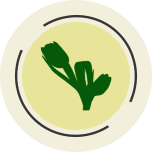 Plantas Ornamentais