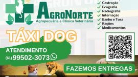 AgroNorte – Agropecuária e Clínica Veterinária – EMPRESA – PLANALTINA – GO – BR