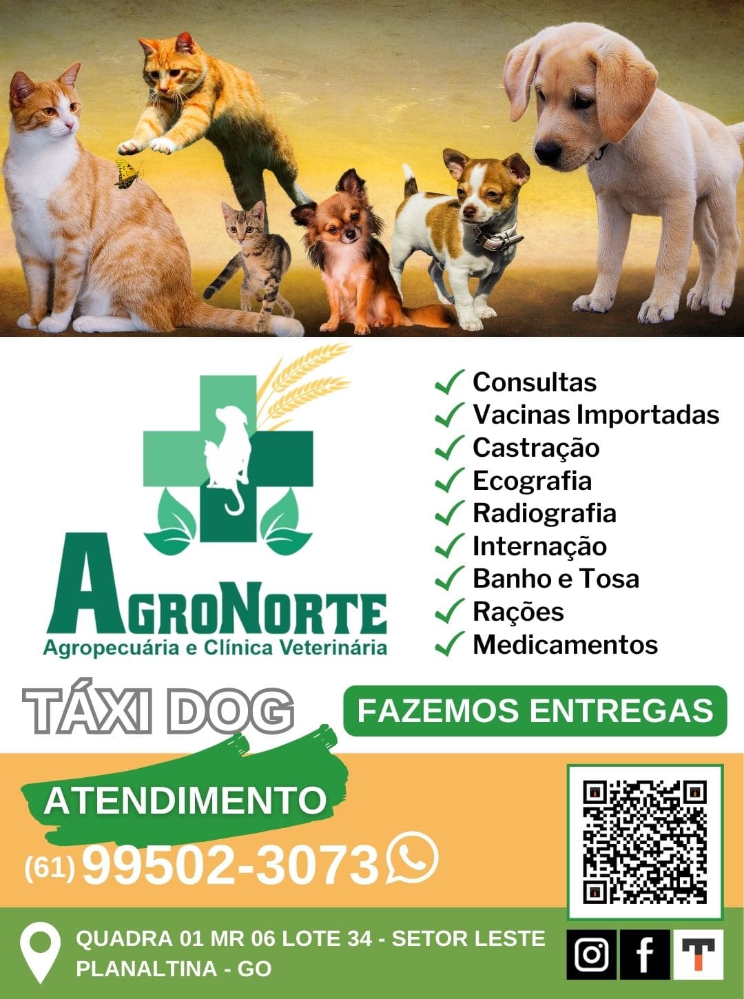 Serviço de Banho e Tosa Delivery Gama - Banho e Tosa Táxi Dog